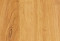 дуб золотой
